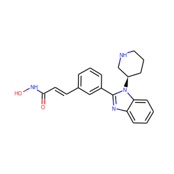 O=C(/C=C/c1cccc(-c2nc3ccccc3n2[C@@H]2CCCNC2)c1)NO ZINC000049070723