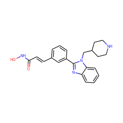 O=C(/C=C/c1cccc(-c2nc3ccccc3n2CC2CCNCC2)c1)NO ZINC000034066264