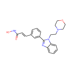 O=C(/C=C/c1cccc(-c2nc3ccccc3n2CCN2CCOCC2)c1)NO ZINC000038558373