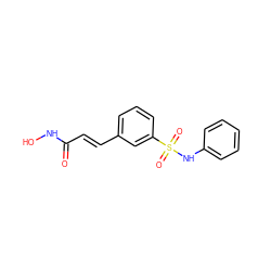 O=C(/C=C/c1cccc(S(=O)(=O)Nc2ccccc2)c1)NO ZINC000003818726