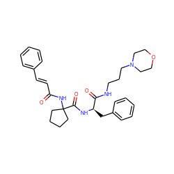 O=C(/C=C/c1ccccc1)NC1(C(=O)N[C@H](Cc2ccccc2)C(=O)NCCCN2CCOCC2)CCCC1 ZINC000028711618