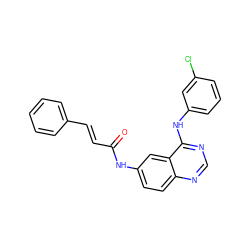 O=C(/C=C/c1ccccc1)Nc1ccc2ncnc(Nc3cccc(Cl)c3)c2c1 ZINC000072108594