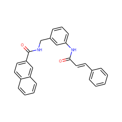 O=C(/C=C/c1ccccc1)Nc1cccc(CNC(=O)c2ccc3ccccc3c2)c1 ZINC001772597734