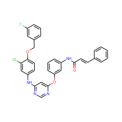 O=C(/C=C/c1ccccc1)Nc1cccc(Oc2cc(Nc3ccc(OCc4cccc(F)c4)c(Cl)c3)ncn2)c1 ZINC000082151750