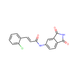 O=C(/C=C/c1ccccc1Cl)Nc1ccc2c(c1)C(=O)NC2=O ZINC000004263884