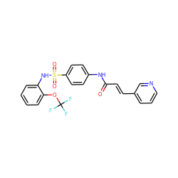 O=C(/C=C/c1cccnc1)Nc1ccc(S(=O)(=O)Nc2ccccc2OC(F)(F)F)cc1 ZINC000142959615