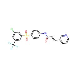 O=C(/C=C/c1cccnc1)Nc1ccc(S(=O)(=O)c2cc(Cl)cc(C(F)(F)F)c2)cc1 ZINC000142158008