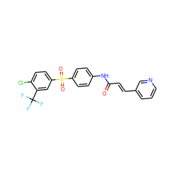 O=C(/C=C/c1cccnc1)Nc1ccc(S(=O)(=O)c2ccc(Cl)c(C(F)(F)F)c2)cc1 ZINC000224970402