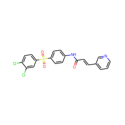 O=C(/C=C/c1cccnc1)Nc1ccc(S(=O)(=O)c2ccc(Cl)c(Cl)c2)cc1 ZINC000142237792