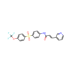 O=C(/C=C/c1cccnc1)Nc1ccc(S(=O)(=O)c2ccc(OC(F)(F)F)cc2)cc1 ZINC000205362970