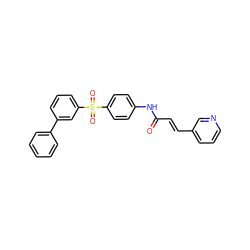 O=C(/C=C/c1cccnc1)Nc1ccc(S(=O)(=O)c2cccc(-c3ccccc3)c2)cc1 ZINC000142384886