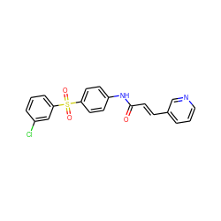 O=C(/C=C/c1cccnc1)Nc1ccc(S(=O)(=O)c2cccc(Cl)c2)cc1 ZINC000142272131