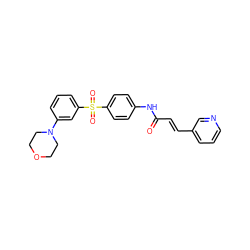 O=C(/C=C/c1cccnc1)Nc1ccc(S(=O)(=O)c2cccc(N3CCOCC3)c2)cc1 ZINC000142572856