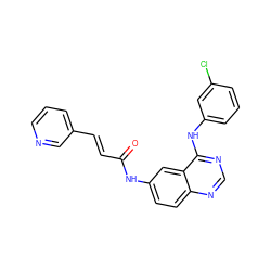 O=C(/C=C/c1cccnc1)Nc1ccc2ncnc(Nc3cccc(Cl)c3)c2c1 ZINC000096934219