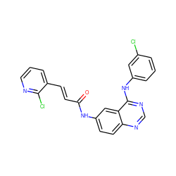 O=C(/C=C/c1cccnc1Cl)Nc1ccc2ncnc(Nc3cccc(Cl)c3)c2c1 ZINC000096934212