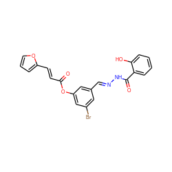 O=C(/C=C/c1ccco1)Oc1cc(Br)cc(/C=N/NC(=O)c2ccccc2O)c1 ZINC000000805137