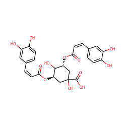 O=C(/C=C\c1ccc(O)c(O)c1)O[C@@H]1CC(O)(C(=O)O)C[C@@H](OC(=O)/C=C\c2ccc(O)c(O)c2)C1O ZINC000013541599