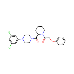 O=C([C@H]1CCCCN1C(=O)COc1ccccc1)N1CCN(c2cc(Cl)cc(Cl)c2)CC1 ZINC000299856490