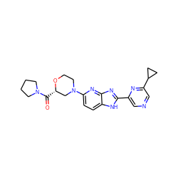 O=C([C@H]1CN(c2ccc3[nH]c(-c4cncc(C5CC5)n4)nc3n2)CCO1)N1CCCC1 ZINC000221395428