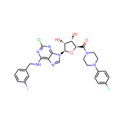 O=C([C@H]1O[C@@H](n2cnc3c(NCc4cccc(I)c4)nc(Cl)nc32)[C@H](O)[C@@H]1O)N1CCN(c2ccc(F)cc2)CC1 ZINC000096901075