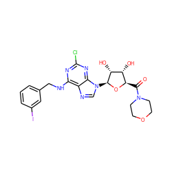 O=C([C@H]1O[C@@H](n2cnc3c(NCc4cccc(I)c4)nc(Cl)nc32)[C@H](O)[C@@H]1O)N1CCOCC1 ZINC000096900616