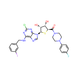 O=C([C@H]1S[C@@H](n2cnc3c(NCc4cccc(I)c4)nc(Cl)nc32)[C@H](O)[C@@H]1O)N1CCN(c2ccc(F)cc2)CC1 ZINC000028564033