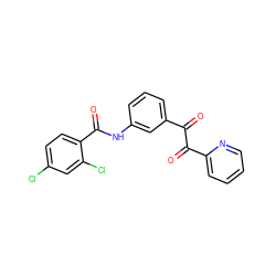 O=C(C(=O)c1ccccn1)c1cccc(NC(=O)c2ccc(Cl)cc2Cl)c1 ZINC000066258351