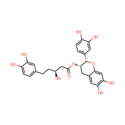 O=C(C[C@@H](O)CCc1ccc(O)c(O)c1)O[C@H]1Cc2cc(O)c(O)cc2O[C@H]1c1ccc(O)c(O)c1 ZINC000026247163