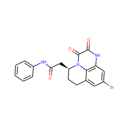 O=C(C[C@@H]1CCc2cc(Br)cc3[nH]c(=O)c(=O)n1c23)Nc1ccccc1 ZINC000013739768