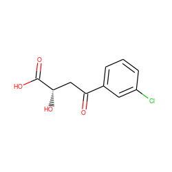 O=C(C[C@H](O)C(=O)O)c1cccc(Cl)c1 ZINC000026743639