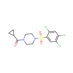 O=C(C1CC1)N1CCN(S(=O)(=O)c2cc(Cl)c(Cl)cc2Cl)CC1 ZINC000040918512