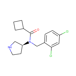 O=C(C1CCC1)N(Cc1ccc(Cl)cc1Cl)[C@H]1CCNC1 ZINC000038214163