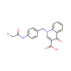 O=C(CBr)Nc1ccc(Cn2cc(C(=O)O)c(=O)c3ccccc32)cc1 ZINC000169352848