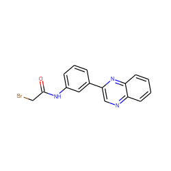 O=C(CBr)Nc1cccc(-c2cnc3ccccc3n2)c1 ZINC000096178011