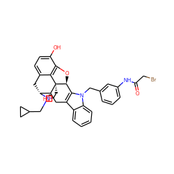 O=C(CBr)Nc1cccc(Cn2c3c(c4ccccc42)C[C@@]2(O)[C@H]4Cc5ccc(O)c6c5[C@@]2(CCN4CC2CC2)[C@H]3O6)c1 ZINC000028762739