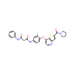 O=C(CC(=O)Nc1ccc(Oc2ccnc3cc(C(=O)N4CCCC4)sc23)c(F)c1)Nc1ccccc1 ZINC000045246052