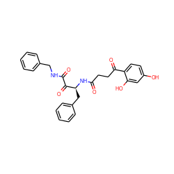 O=C(CCC(=O)c1ccc(O)cc1O)N[C@@H](Cc1ccccc1)C(=O)C(=O)NCc1ccccc1 ZINC000040849051