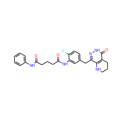 O=C(CCCC(=O)Nc1cc(Cc2n[nH]c(=O)c3c2NCCC3)ccc1F)Nc1ccccc1 ZINC000084688856