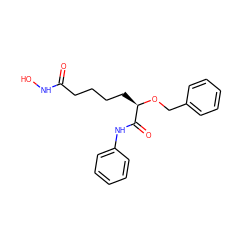 O=C(CCCC[C@@H](OCc1ccccc1)C(=O)Nc1ccccc1)NO ZINC000028956665