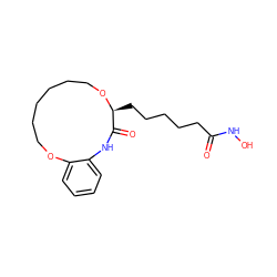 O=C(CCCCC[C@@H]1OCCCCCCOc2ccccc2NC1=O)NO ZINC000066251114