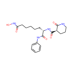 O=C(CCCCC[C@H](NC(=O)[C@@H]1CCCNC1=O)C(=O)Nc1ccccc1)NO ZINC000103232983