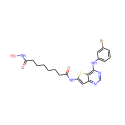 O=C(CCCCCCC(=O)Nc1cc2ncnc(Nc3cccc(Br)c3)c2s1)NO ZINC001772648877