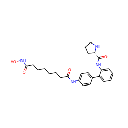 O=C(CCCCCCC(=O)Nc1ccc(-c2ccccc2NC(=O)[C@@H]2CCCN2)cc1)NO ZINC000096921832