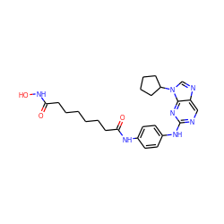 O=C(CCCCCCC(=O)Nc1ccc(Nc2ncc3ncn(C4CCCC4)c3n2)cc1)NO ZINC001772619742