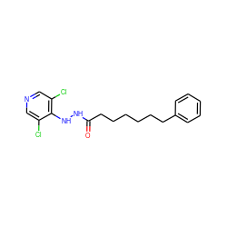 O=C(CCCCCCc1ccccc1)NNc1c(Cl)cncc1Cl ZINC000084654753