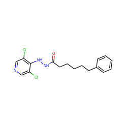 O=C(CCCCCc1ccccc1)NNc1c(Cl)cncc1Cl ZINC000084654751