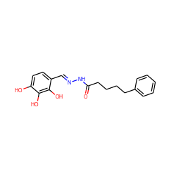 O=C(CCCCc1ccccc1)N/N=C/c1ccc(O)c(O)c1O ZINC001772608085