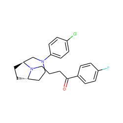 O=C(CCCN1[C@H]2CC[C@H]1CN(c1ccc(Cl)cc1)CC2)c1ccc(F)cc1 ZINC000253668597