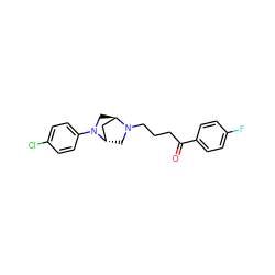 O=C(CCCN1C[C@H]2C[C@H]1CN2c1ccc(Cl)cc1)c1ccc(F)cc1 ZINC000253665861