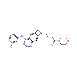 O=C(CCCN1Cc2cc3c(Nc4cccc(Br)c4)ncnc3cc21)N1CCOCC1 ZINC000045495637